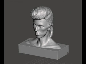 david bowie aladdin sane inspired bust 3D Print Model