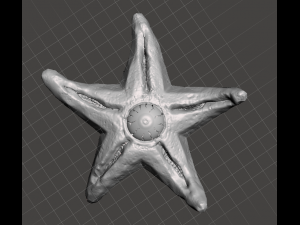 inspired from the suicide squad movie starro the conqueror 3D Baskı Modeli