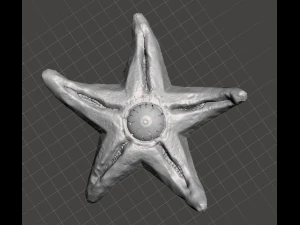 inspired from the suicide squad movie starro the conqueror 3D Print Model
