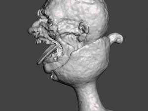 Inspired in the movie indiana jones and the temple of doom the Chalice of Kali Model do druku 3D