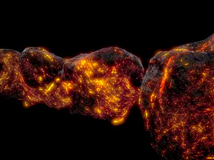 asteroids pack 3D Model