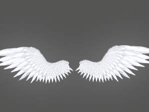 angel wings Modello 3D