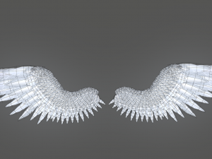 angel wings Modello 3D