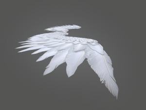 angel wings Modello 3D