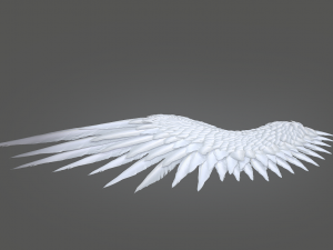 angel wings Modello 3D