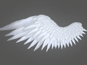 angel wings 3D Model