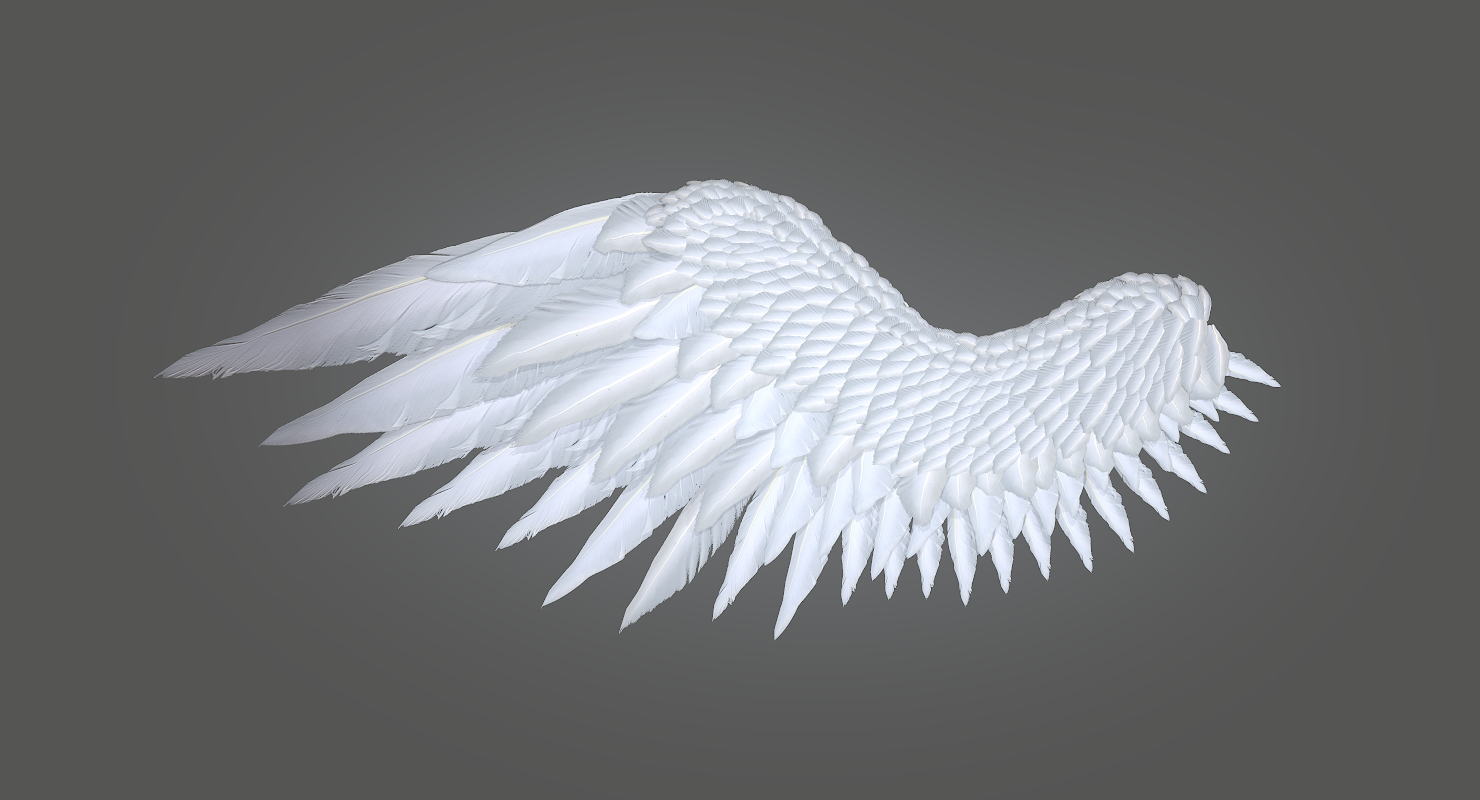 wings 3d video
