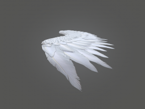 angel wings Modello 3D