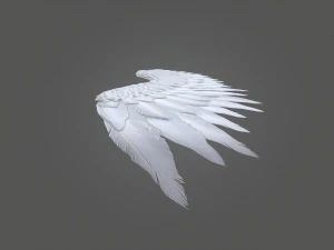 angel wings 3D Model