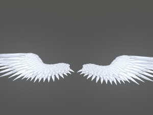 angel wings Modello 3D