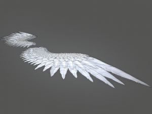 angel wings Modello 3D