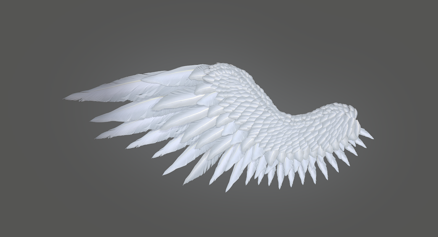 Angel Wings 3d Model In Anatomy 3dexport