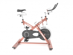 stationary spinning bicycle 3D मॉडल
