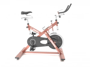 고정 회전 자전거 3D 모델