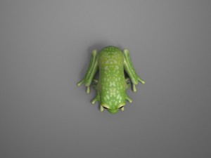 frog 3D मॉडल