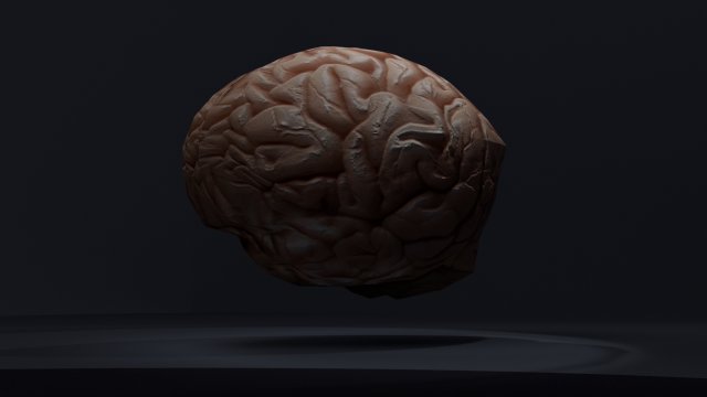 the brain 3D मॉडल .c4d .max .obj .3ds .fbx .stl .blend 