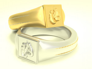 boxer ring 3Dプリントモデル