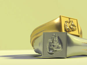 boxer ring 3D Print Model