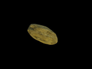 a rock 3D मॉडल