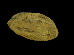 a rock Model 3D