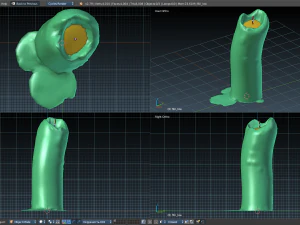 candle 3D Model