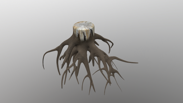 stump 3D-Modell .c4d .max .obj .3ds .fbx .stl .blend 
