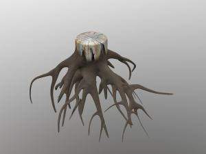 stump 3D-Modell