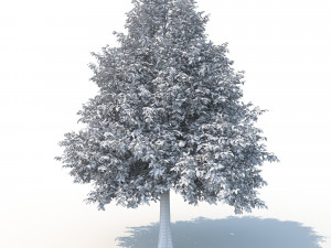 black tupelo tree no 1 3D Модель
