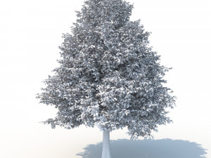 black tupelo tree no 2 Modelo 3D