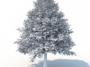 black tupelo tree no 2 Modelo 3D