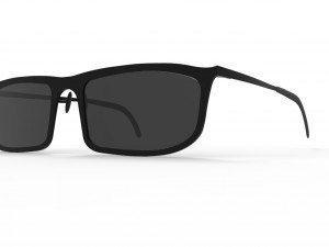 glasses 3D Model