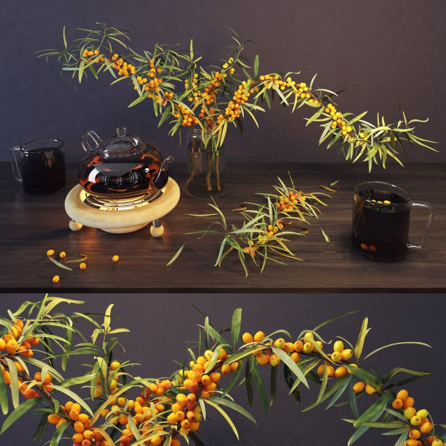 sea buckthorn and teapot 3D Model .c4d .max .obj .3ds .fbx .stl .blend