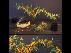 sea buckthorn and teapot 3D Model