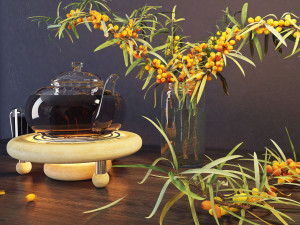 sea buckthorn and teapot 3D Model