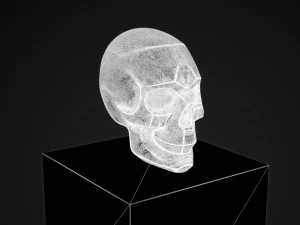 skull 3D Print Model