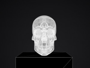skull 3D प्रिंट मॉडल