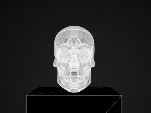 skull 3D Print Model