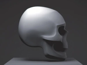 skull 3D Print Model