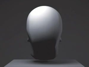 skull 3D Print Model
