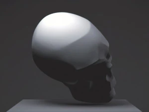 skull 3D Print Model