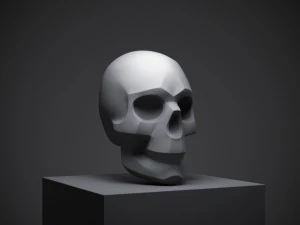 skull 3D Print Model