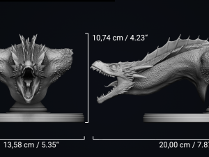 dragon bust - game of thrones - drogon - 3d prinable model 3D 프린트 모델