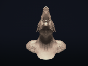 dragon bust - game of thrones - drogon - 3d prinable model 3D 프린트 모델