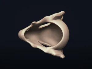 cubone skull - free 3d printable model 3D Print Model