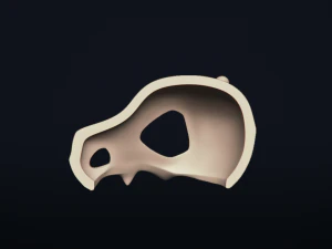 cubone skull - free 3d printable model 3D Print Model