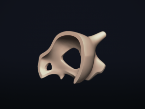 cubone skull - free 3d printable model 3D printmodel