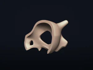 cubone skull - free 3d printable model 3D Print Model