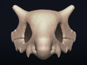 cubone skull - 3d printable model 3D 打印模型