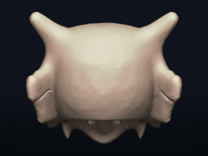 cubone skull - 3d printable model 3D 打印模型
