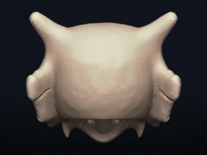 cubone skull - 3d printable model 3D Print Model